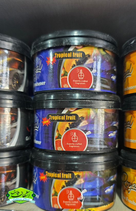 بوگیر کنسروی خودرو و سرویس Royal